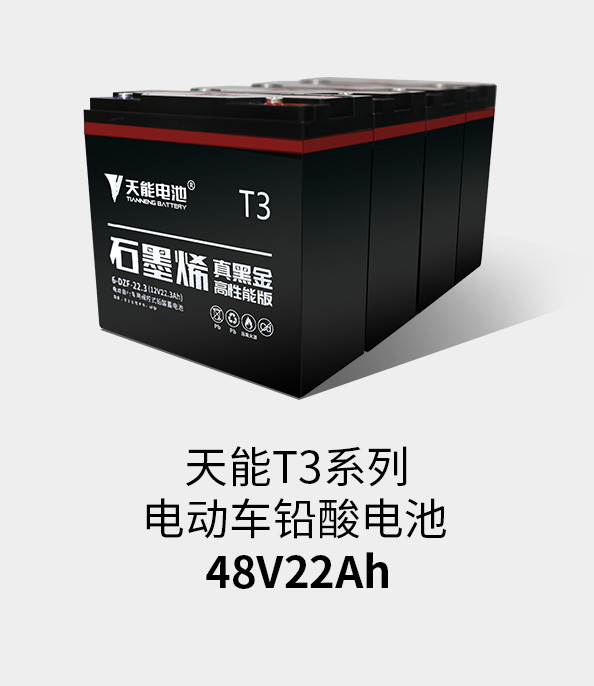 天能T3系列48v22ah